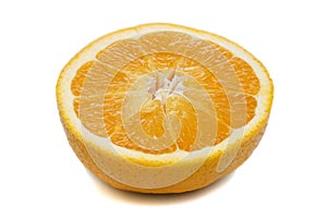 Orange Half Cross Section