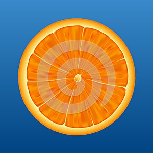 Orange half - vector