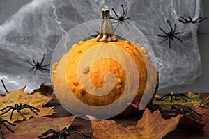 Orange halloween pumpkin with autumn colorful leaves, spiders and cobweb