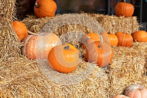 Orange halloween pumpkins on stack of hay or straw in sunny day. Halloween decoration at home.