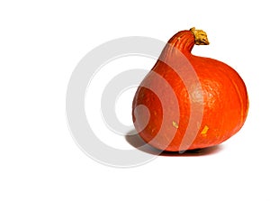 Orange hokkaido pumpkin isolated on white background with copy space