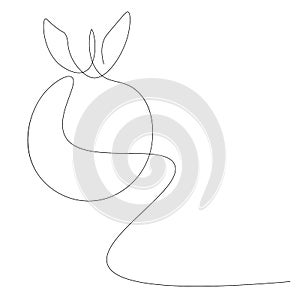 Orange icon, fruit continuous line drawing vector