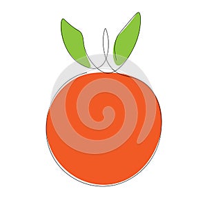 Orange icon, fruit continuous line drawing vector