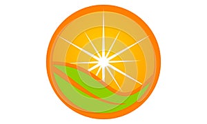 Orange icon Logo Design Template