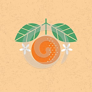 Orange illustration. Orange with leaves and flowers on shabby background. Flat design.