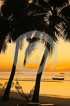 Orange Island Sunrise with Hammock and coconut tree silhouettes