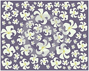 Orange Jasmine or Mock Orange Flowers Background