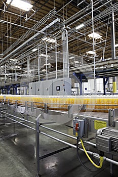 Orange juice bottles on conveyor in bottling plant