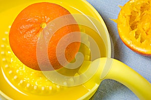 Orange on juicer