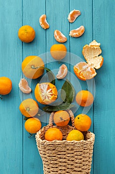 Orange juicy tangerine slices and peeled mandarines scattered on the wooden turquoise background. Flat lay. Copy space. Fresh