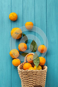 Orange juicy tangerine slices and peeled mandarines scattered on the wooden turquoise background. Flat lay. Copy space. Fresh