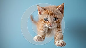 The orange jumping kitten.AI generated image