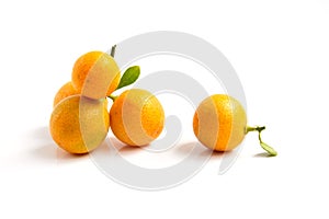 Orange Kumquat placed on whte background