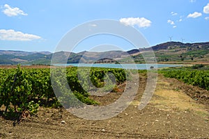 Orange Lake near  Sambuca Di Sicilia Sicily Italy photo