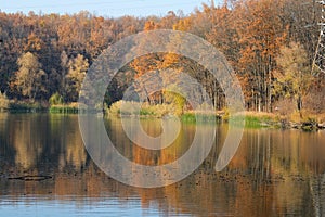 Orange leafy trees near a lake.