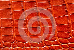 Orange leather texture