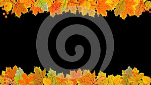 Orange Leaves falling down the Wind effect on an Isolated Background. Autumn Sale Logo Animation Concept.