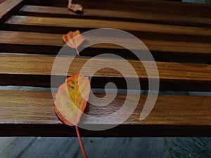 Orange leaves  with wooden sticks