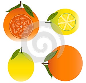 Orange and Lemon