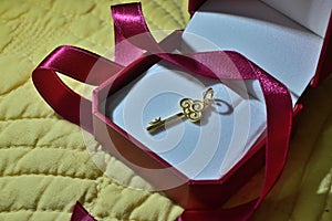 Gold pendant red box ribbon