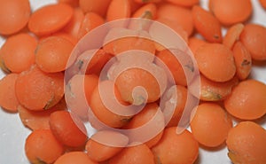 Orange lentil - Lens culinaris