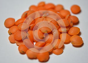 Orange lentil - Lens culinaris