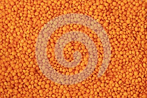 Orange lentils full background