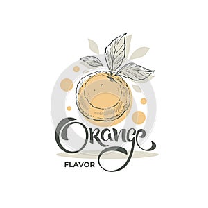 Orange lettering composition and hand drawn sketch for your citrus juice logo, label, emblem