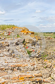 Orange lichen on rocks