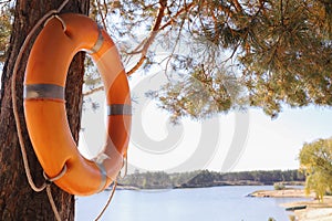 orange lifebuoy on a tree on the shore of a lake, a river near a rescue post