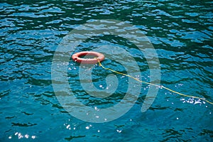 Orange lifebuoys float on the sea