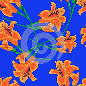 Orange lilies on a blue background photo