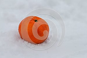 Orange lying in the snow, close-up