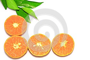 Orange mandarin or tangerine fruits, with green leaves, isolate on white background