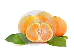 Orange mandarins with leaf.