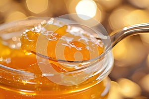 Orange marmalade. Spoon scooping homemade orange jam from a glass jar surrounded by fresh oranges