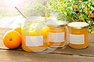 Orange marmelade spoon tree sun photo