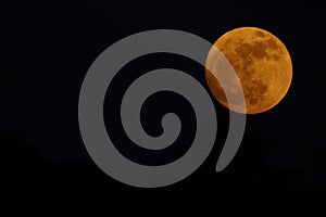 Orange moon dark skies copy space detail zoom