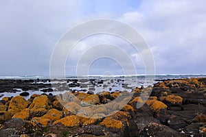 Mossy Rocks by Seaside