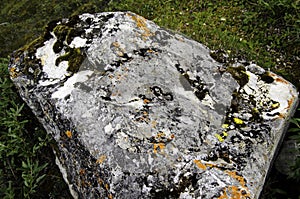 Orange mossy covered rock