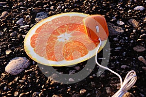 Orange mouse