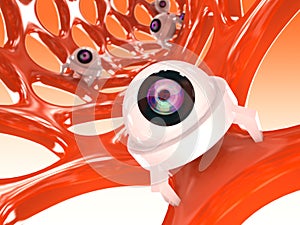 Orange nanotube structure