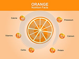 Orange nutrition facts, orange fruit with information, orange vector