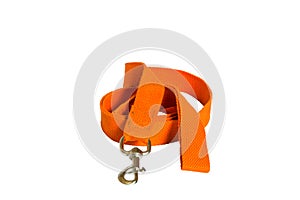 Orange nylon dog lead