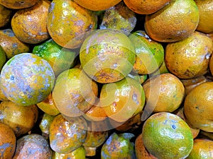 orange is one of the oranges that is widely planted by Indonesian people photo