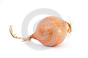 Orange onion