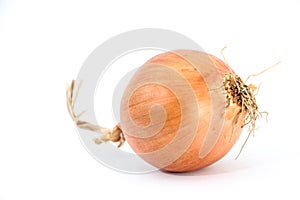 Orange onion