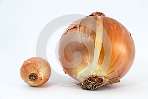 Orange onion