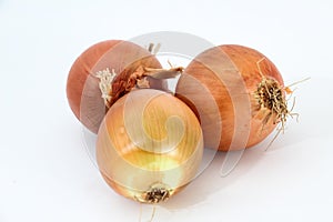 Orange onion