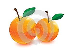 Orange, orange fruit with green leaf, orange vector